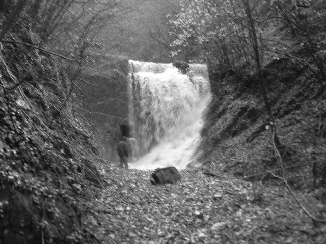  Image name: DSCF2012.JPG 
 width: 640 pixel 
 height: 480 pixel 
 Size: 96635 bytes 
 Click to enlarge 